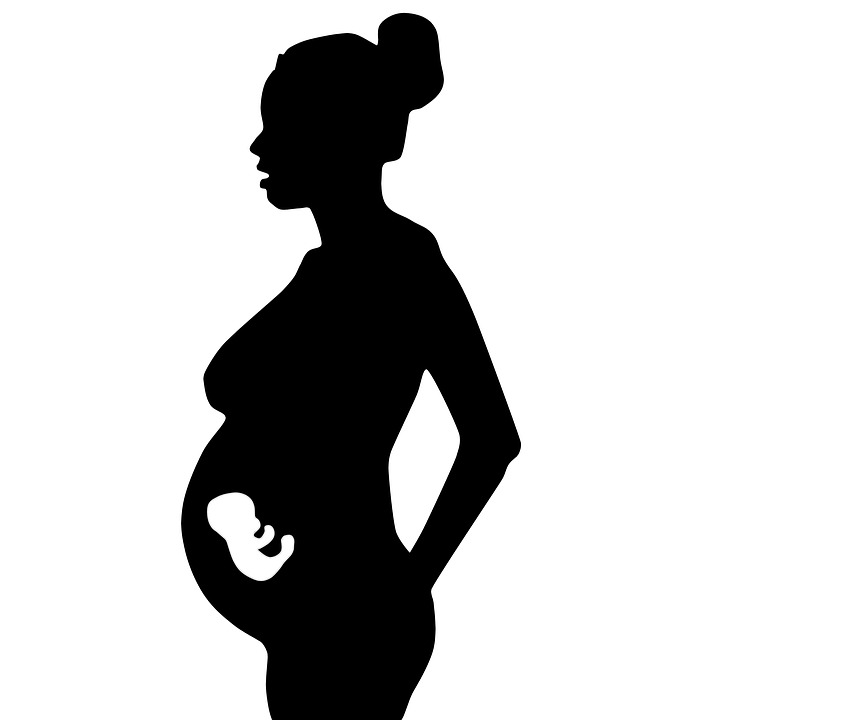 pregnant-woman-1741636_960_720 Blog